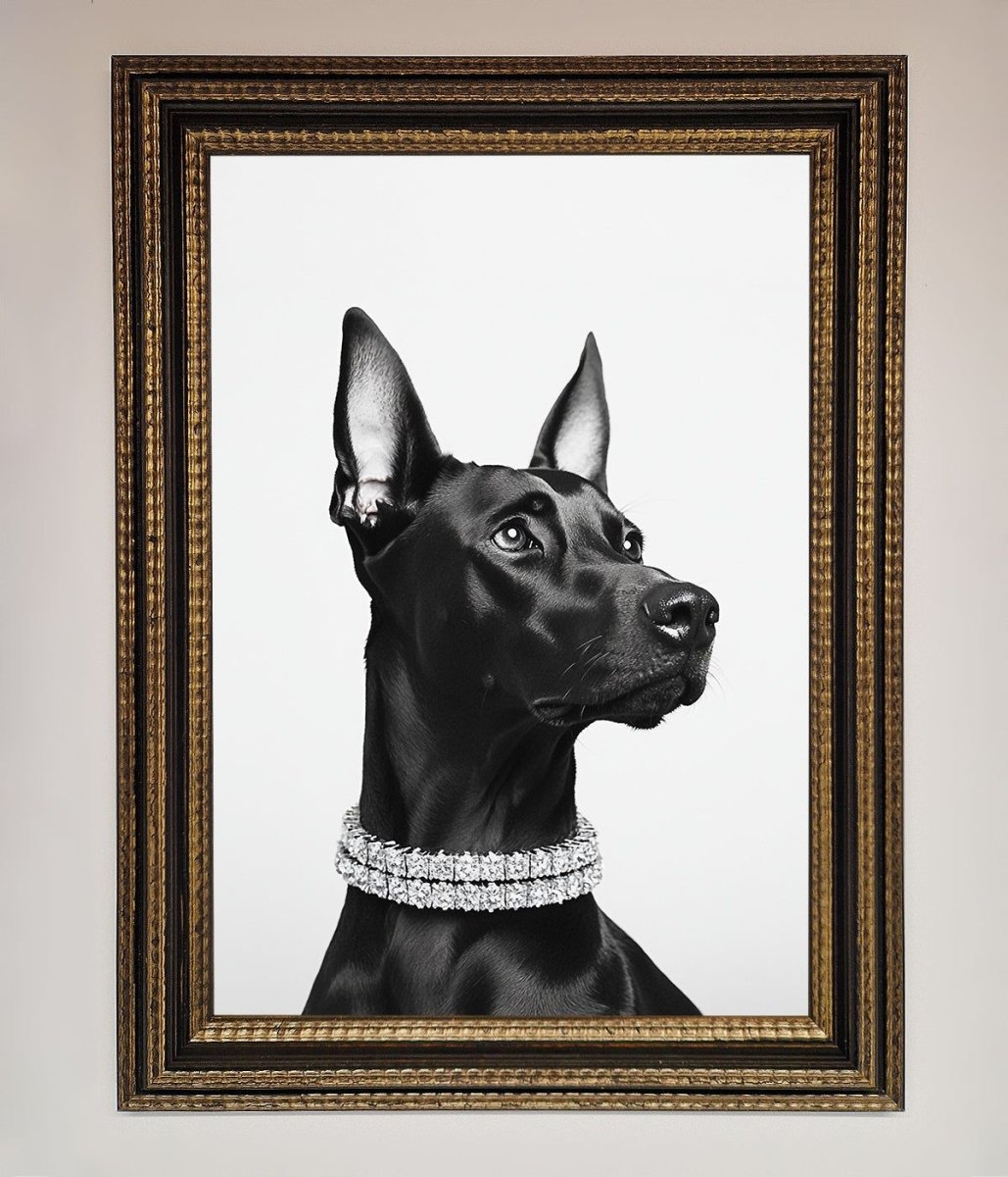 Black Doberman Diamond Neckless Framed Poster - Zestio