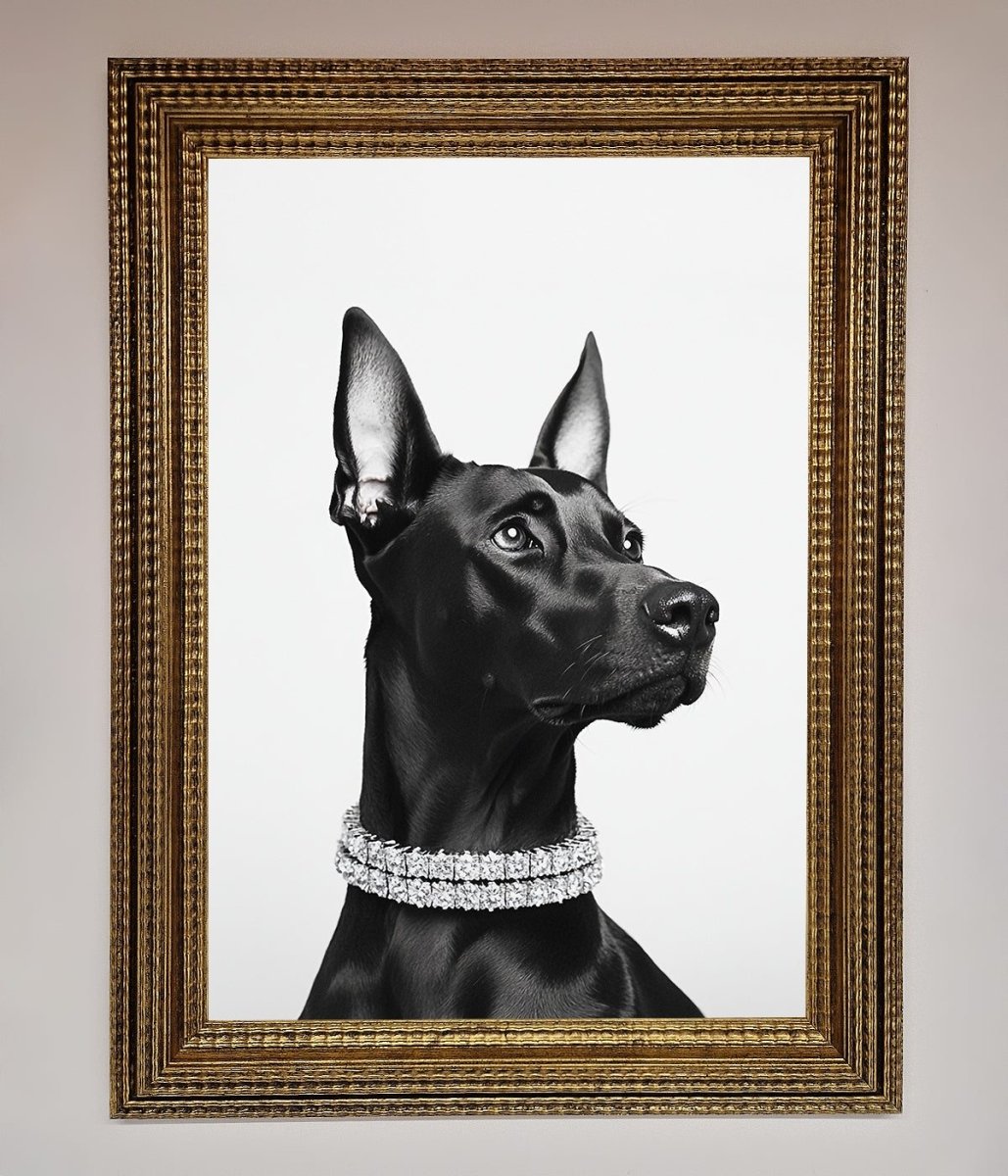 Black Doberman Diamond Neckless Framed Poster - Zestio