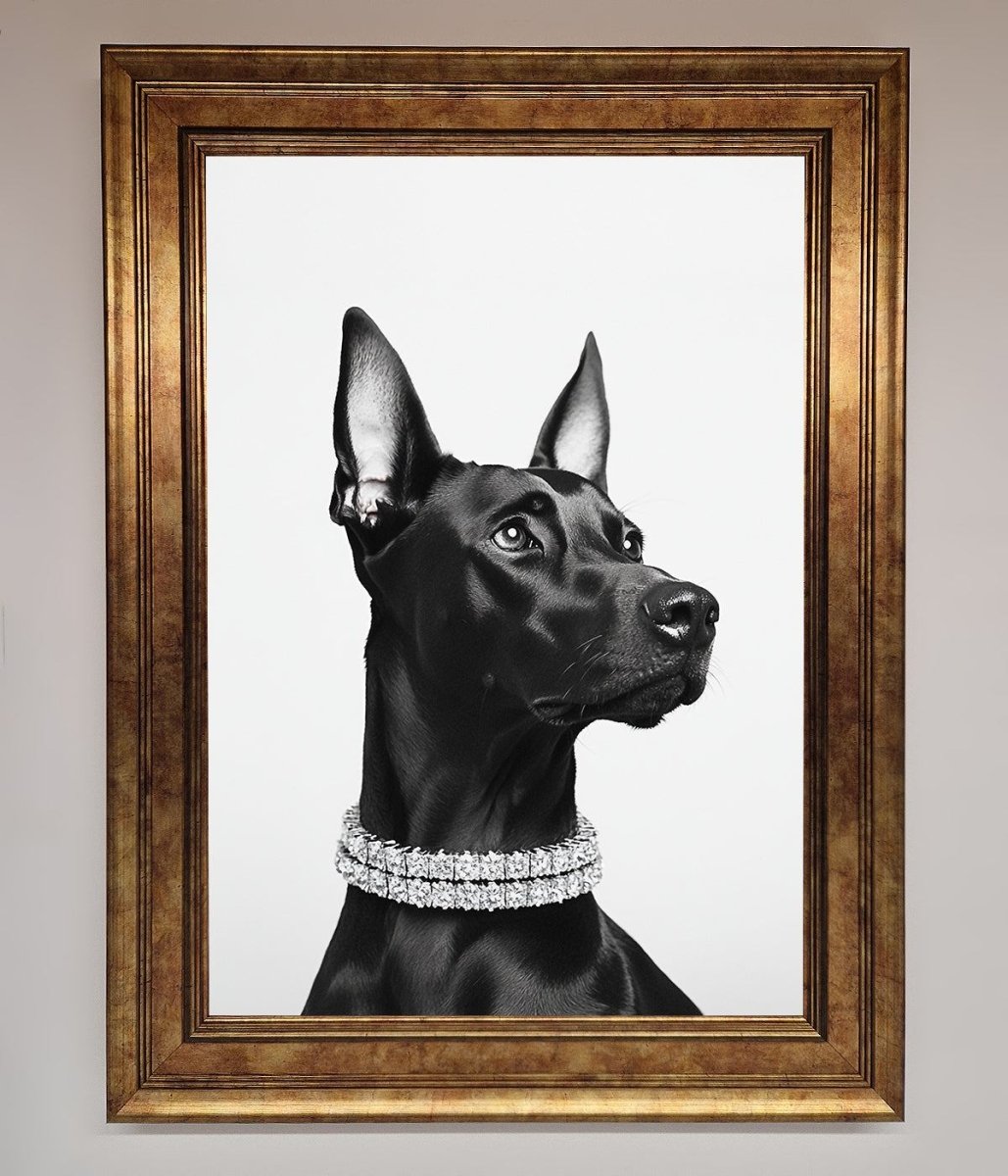 Black Doberman Diamond Neckless Framed Poster - Zestio
