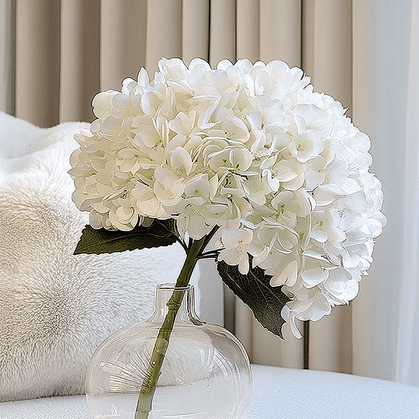 Cream Giant Pom Pom Hydrangea Single Stem Flower