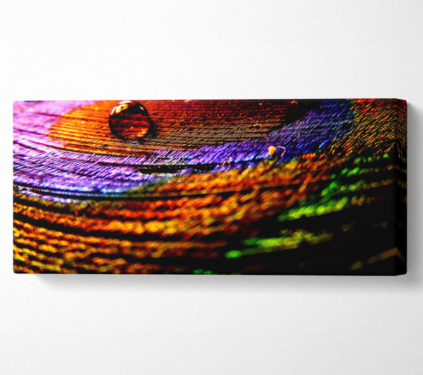 Colourful Bubble Ripples