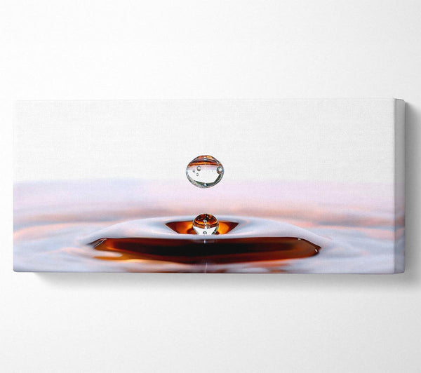 Liquid Droplet