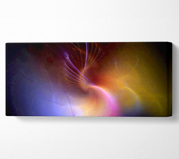 Galaxy Of Colours