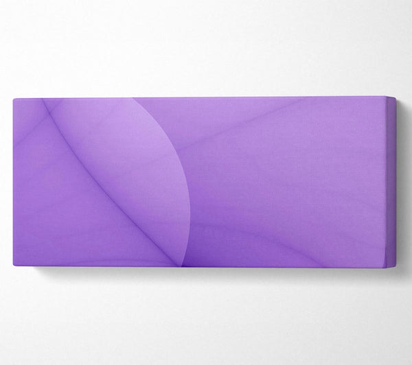 Lilac Beauty