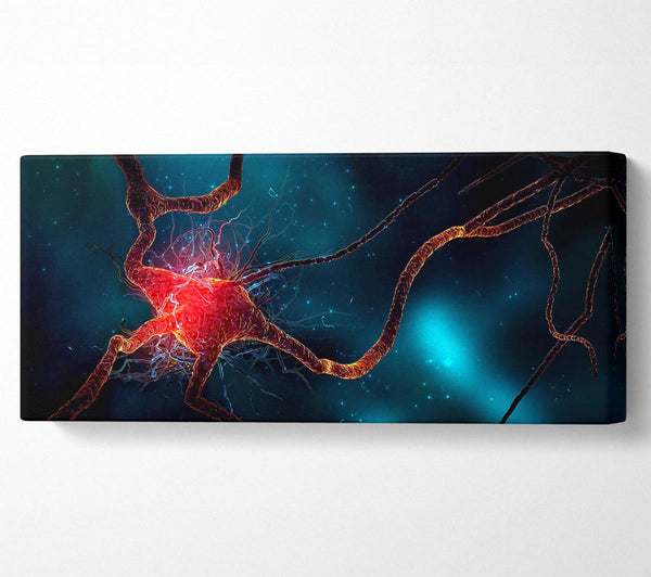 Neuron