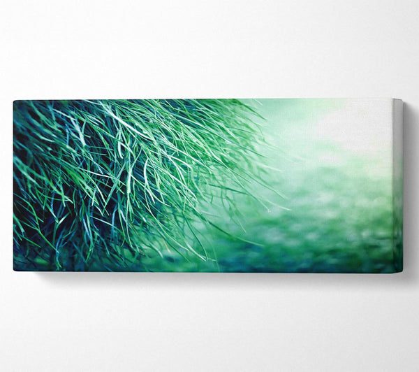 Pure Grass