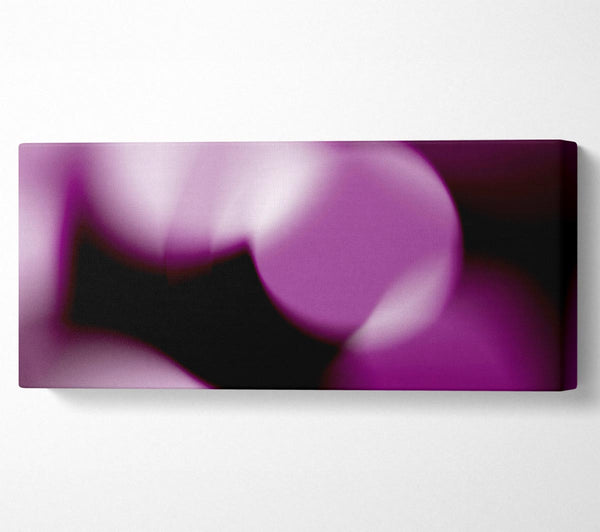 Purple Disco
