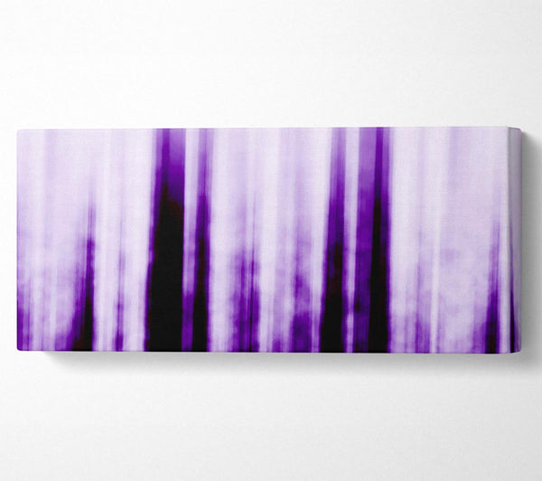 Purple Dream