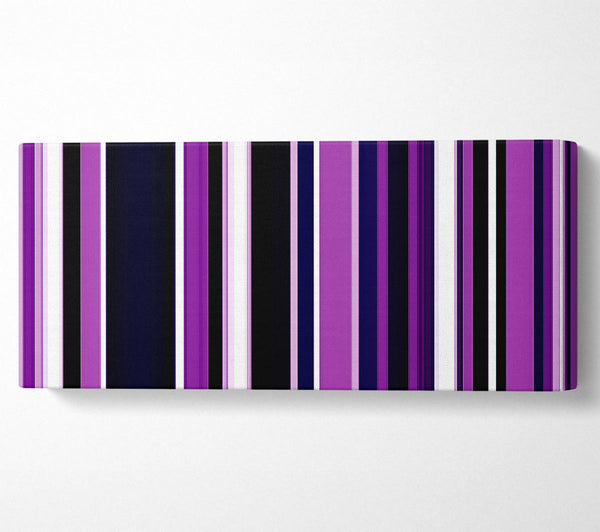 Purple Stripes
