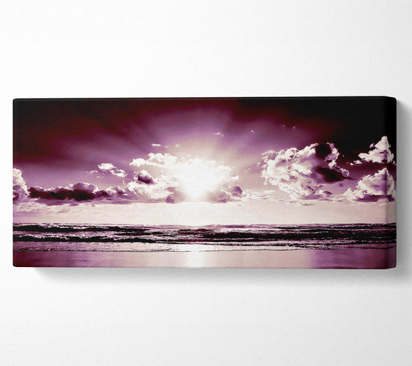 Purple Sunbeams