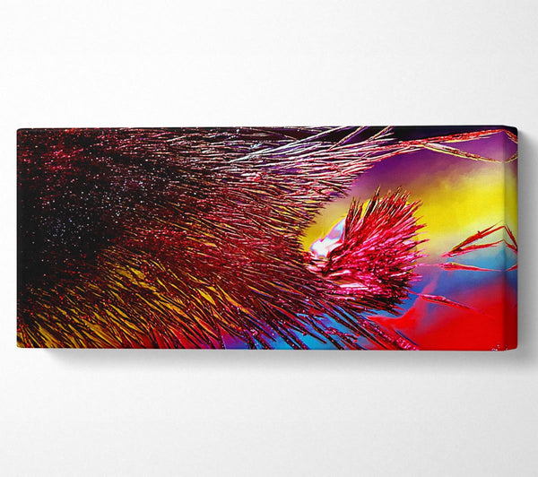 Rainbow Feathers