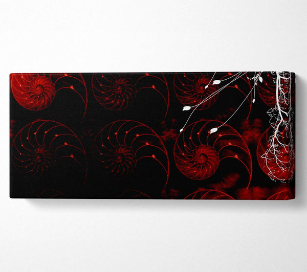 Red Shell Delight