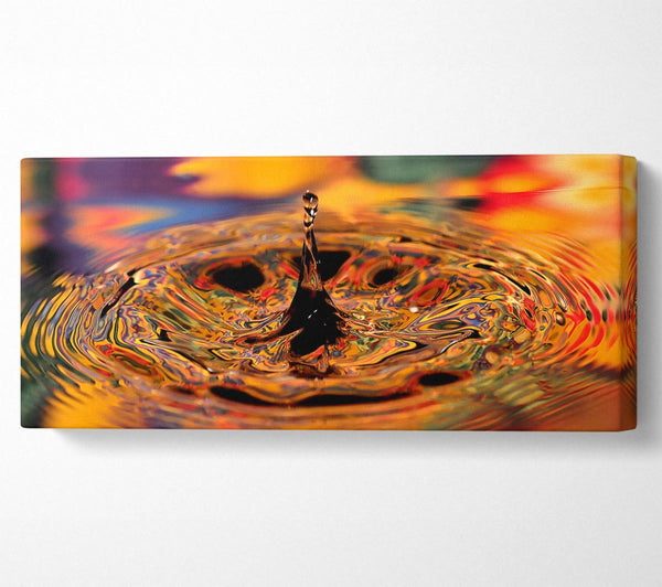 Splash Golden