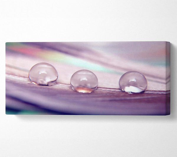 Three Water Drops