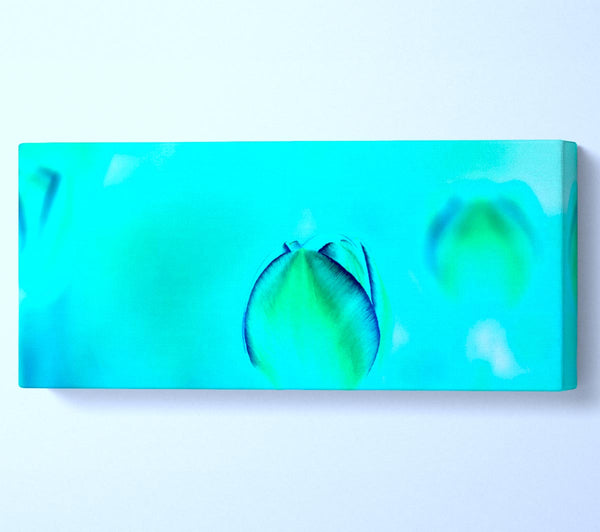 Turquoise Tulip
