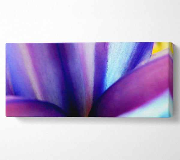 Violet Dream