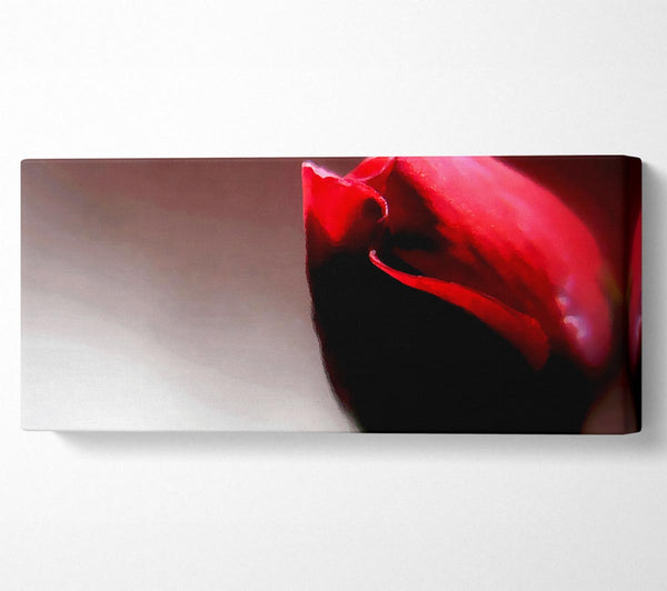 Visions Of A Rose