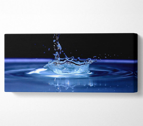 Water Splash Delight Blue