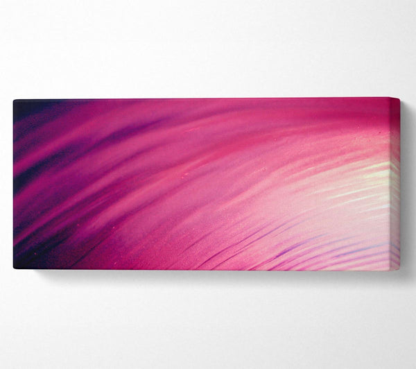 Whirlwind Of Pink