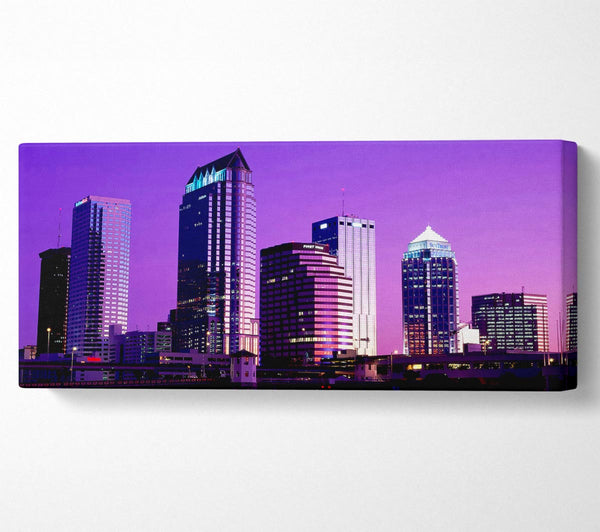 Miami Purple Nights
