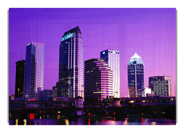 Miami Purple Nights