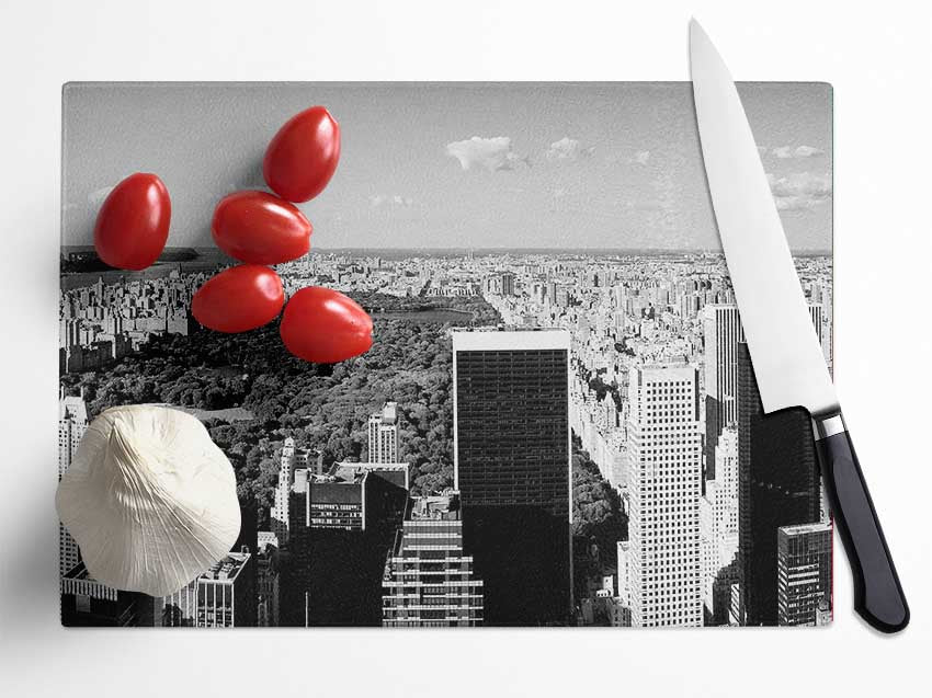 Central Park New York B n W Glass Chopping Board