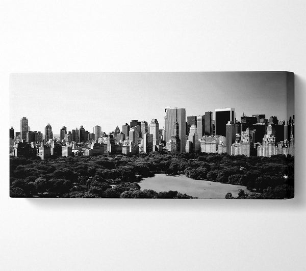 New York City Central Park From Above B n W