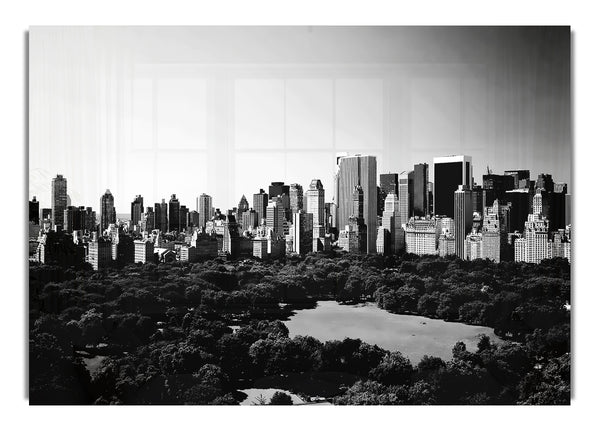 New York City Central Park B~w