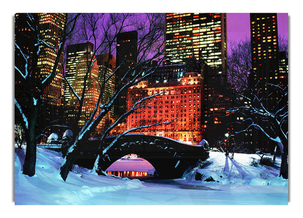New York City Central Park Night Snow