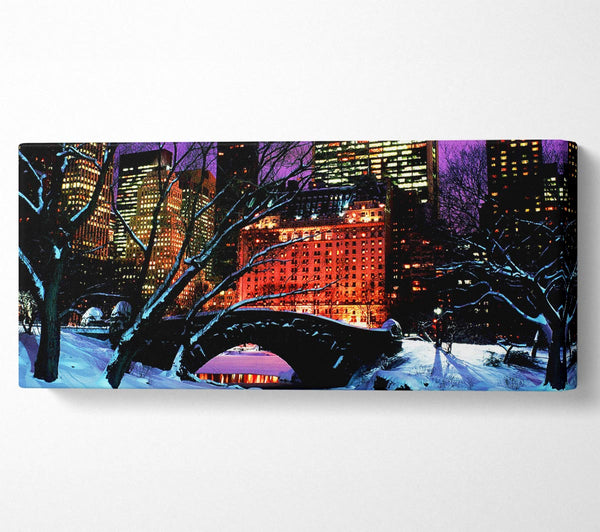 New York City Central Park Night Snow
