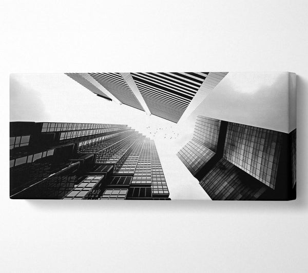 Skyscrapers In Black And White