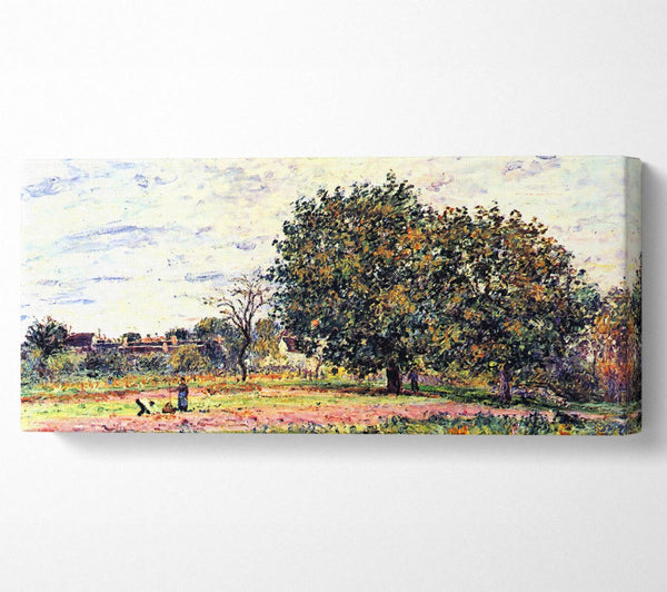 Sisley A Worker In The Field