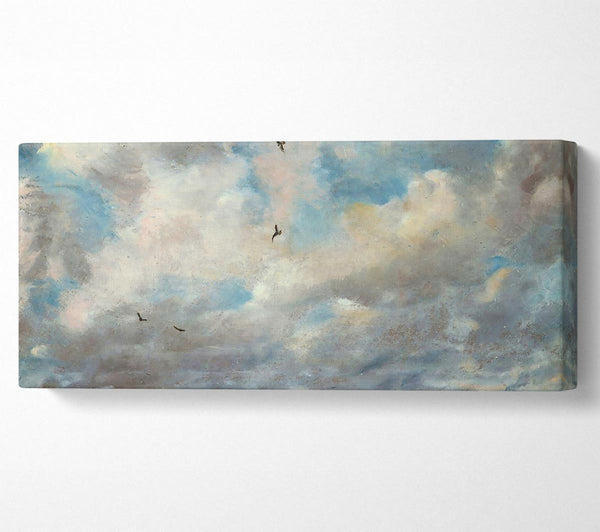 Constable Cloud Study