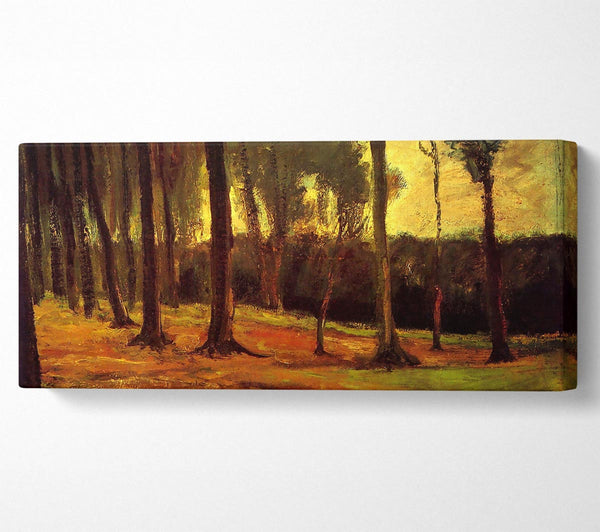 Van Gogh Edge Of A Wood