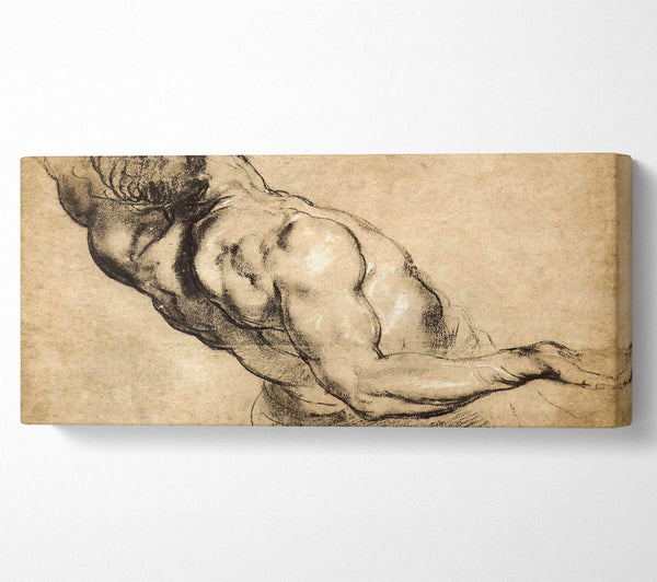Rubens Study Of Mans Torso