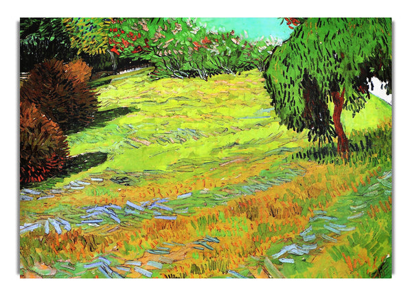 Sunny Lawn In A Public Park By Van Gogh