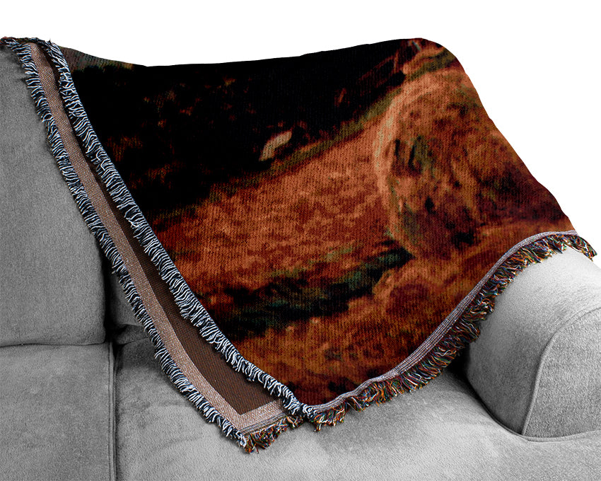 Monet The Poppy Blumenfeld The Barn Woven Blanket