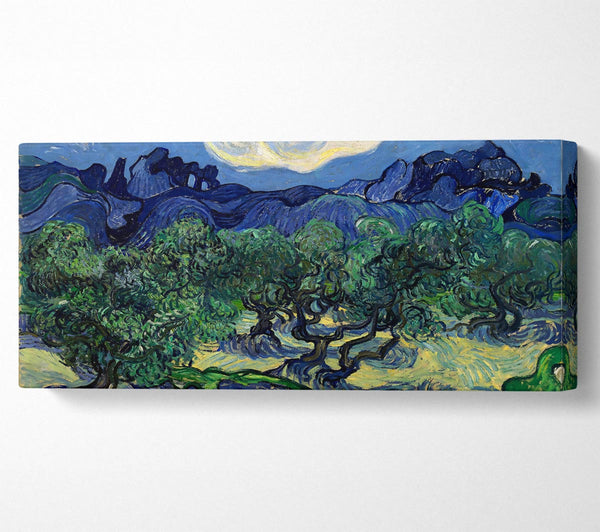 Van Gogh The Olive Trees