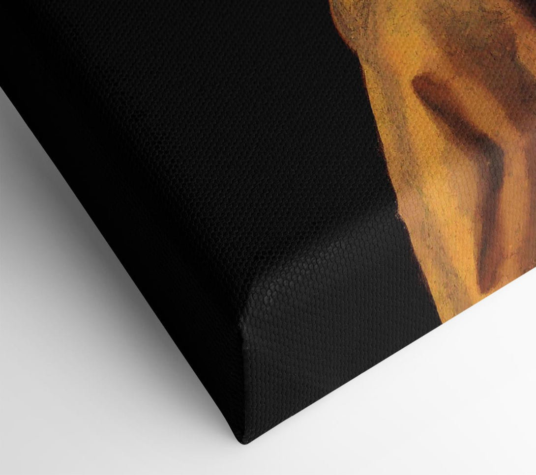  A Canvas Print of Vermeer The Girl With The Pearl Earring Canvas Wall Art