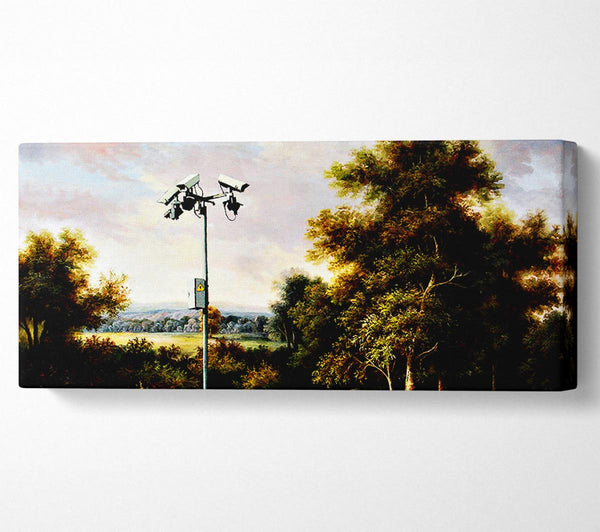 Countryside Cctv