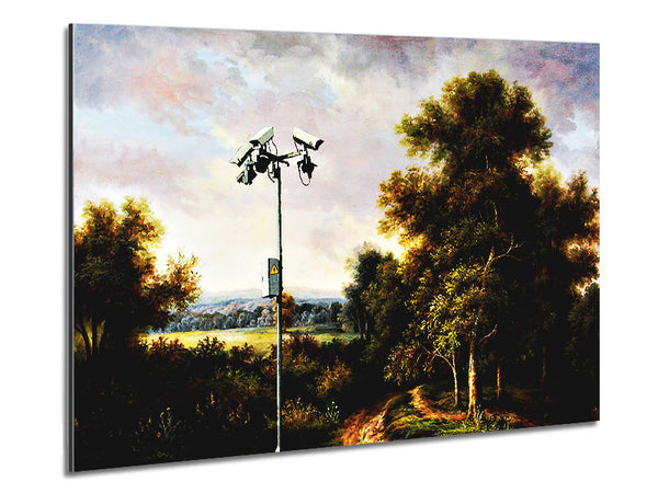 Countryside Cctv Metal Print