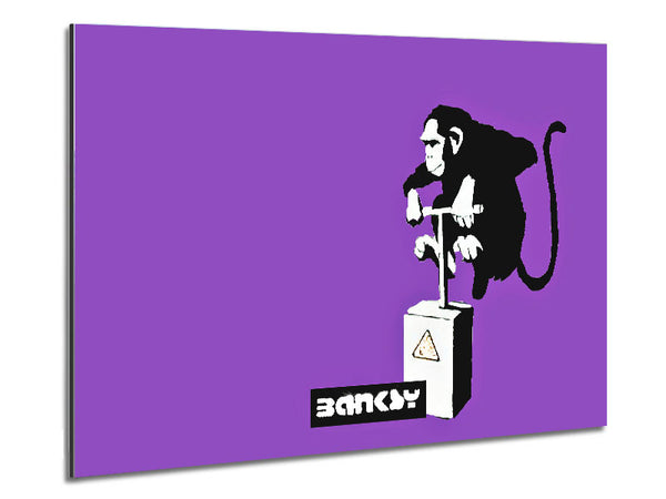 Monkey Detonator Purple Metal Print
