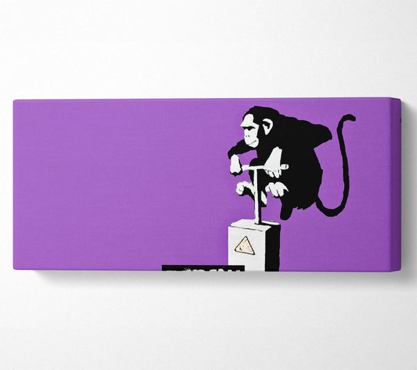 Monkey Detonator Purple