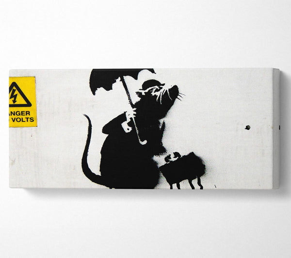 Rat Box