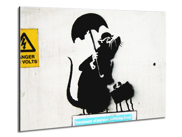 Rat Box Metal Print