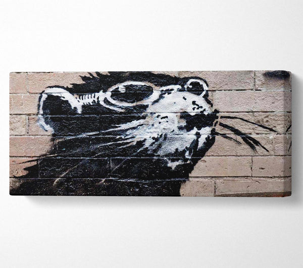 Rat Sunglasses
