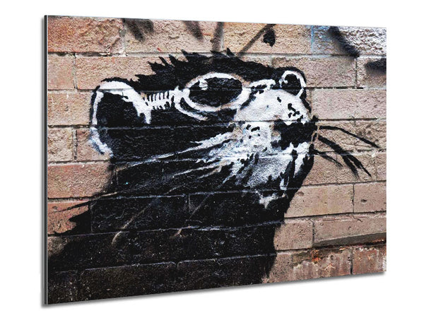 Rat Sunglasses Metal Print