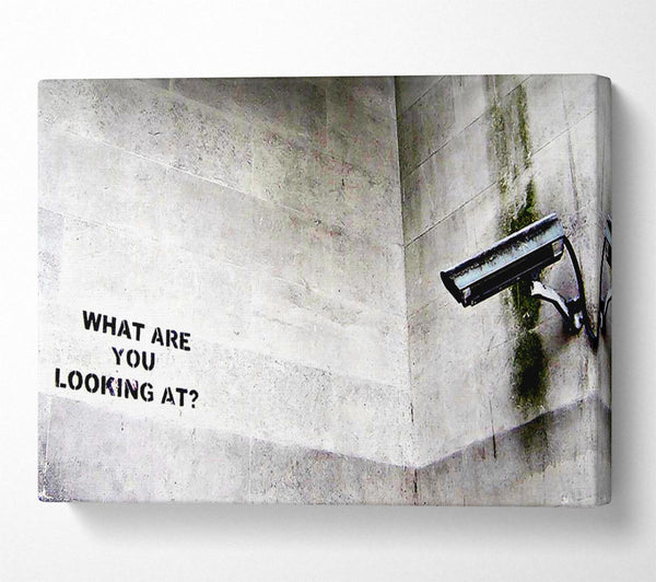  A Canvas Print of Banksy What Are You Looking At Canvas Art