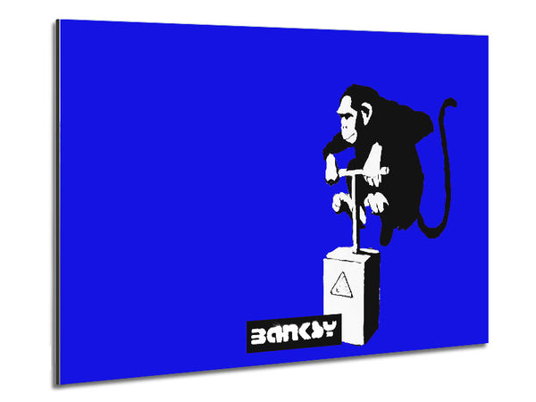 Monkey Detonator Blue Metal Print