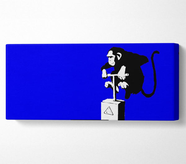 Monkey Detonator Blue